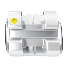 Legend Mini Rhodium Aesthetic Bracket Individuals